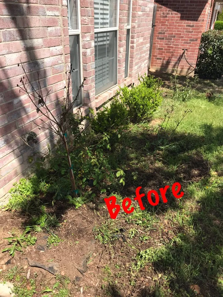 Affordable lawn mowing service for beautiful yards across Mansfield, TX - Mauie's Lawn Service