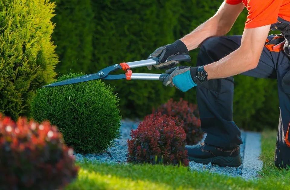 Top-rated garden landscaping in Wood Dale, IL - Maui's Landscaping