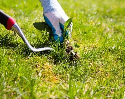 Custom landscaping services in Wood Dale, IL - Maui's Landscaping