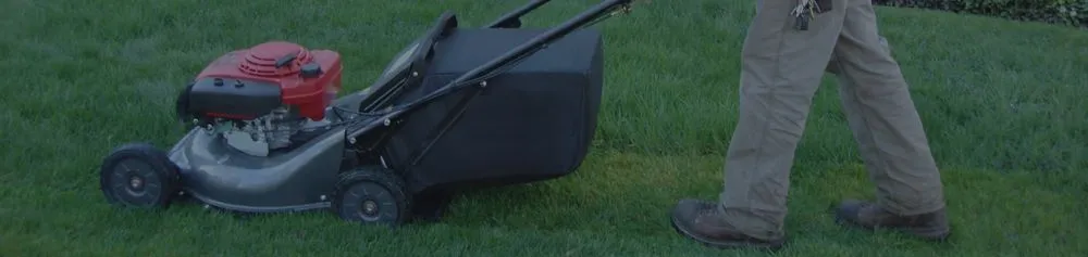 Top-rated landscape design for beautiful yards across Wood Dale, IL - Maui's Landscaping