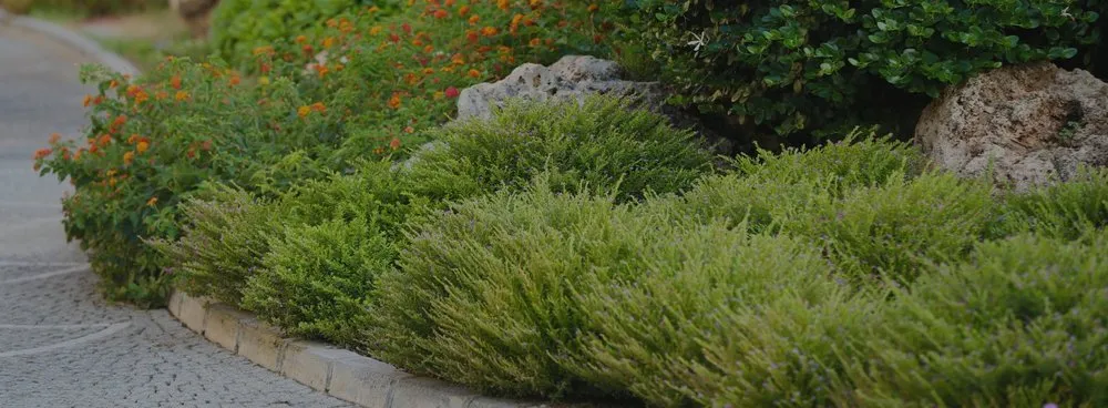 Top-rated lawn mowing service near you in Wood Dale, IL by Maui's Landscaping