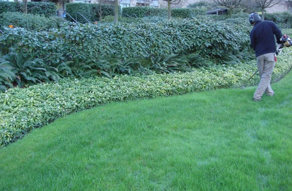 Trusted garden landscaping experts serving Wood Dale, IL - Maui's Landscaping