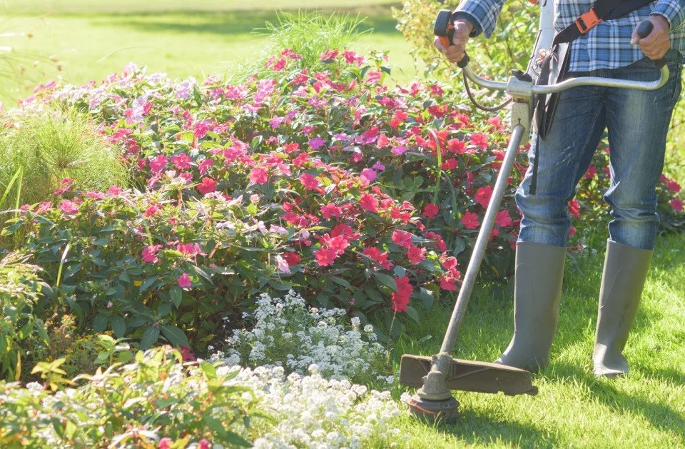 Custom yard maintenance for year-round maintenance across Wood Dale, IL - Maui's Landscaping