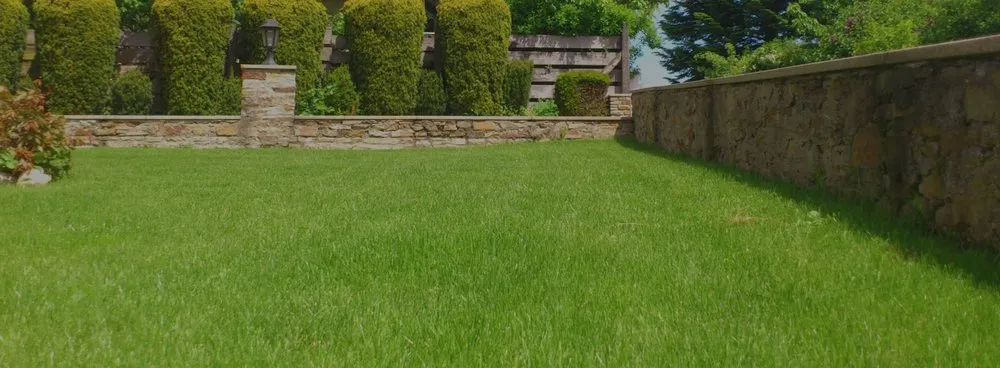 Custom yard maintenance experts serving Wood Dale, IL - Maui's Landscaping