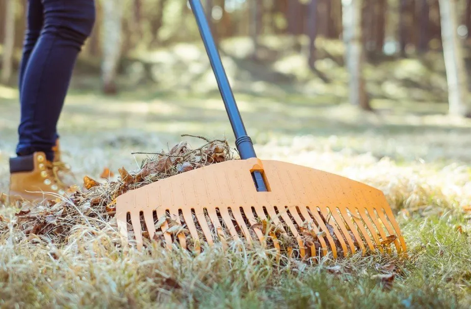 Expert garden landscaping for homes in Wood Dale, IL by Maui's Landscaping