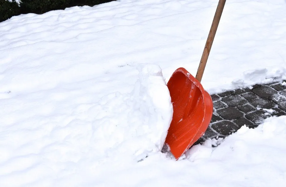 Affordable landscaping services experts serving Wood Dale, IL - Maui's Landscaping