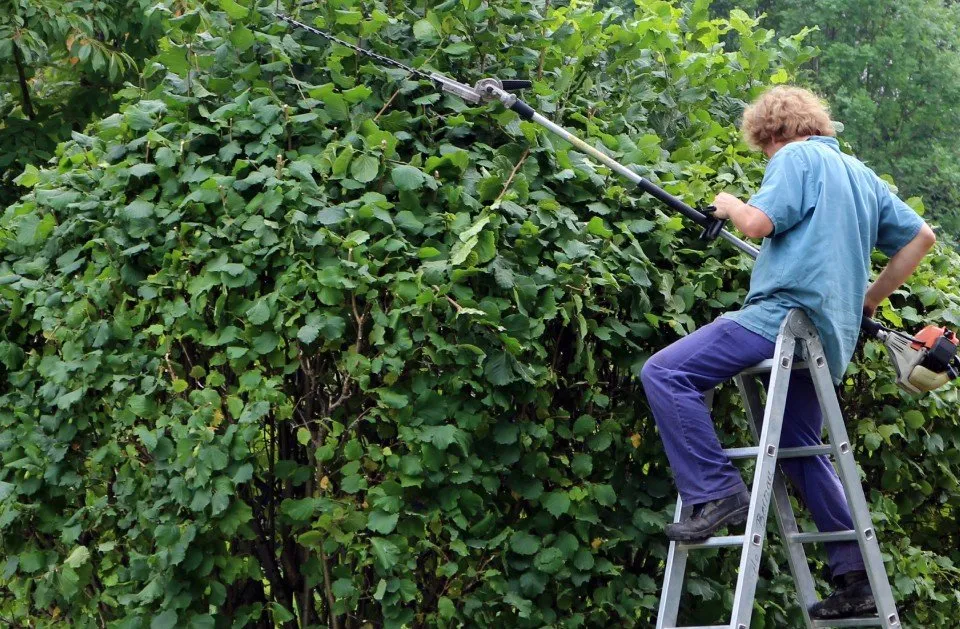 Reliable garden landscaping for year-round maintenance in Wood Dale, IL by Maui's Landscaping