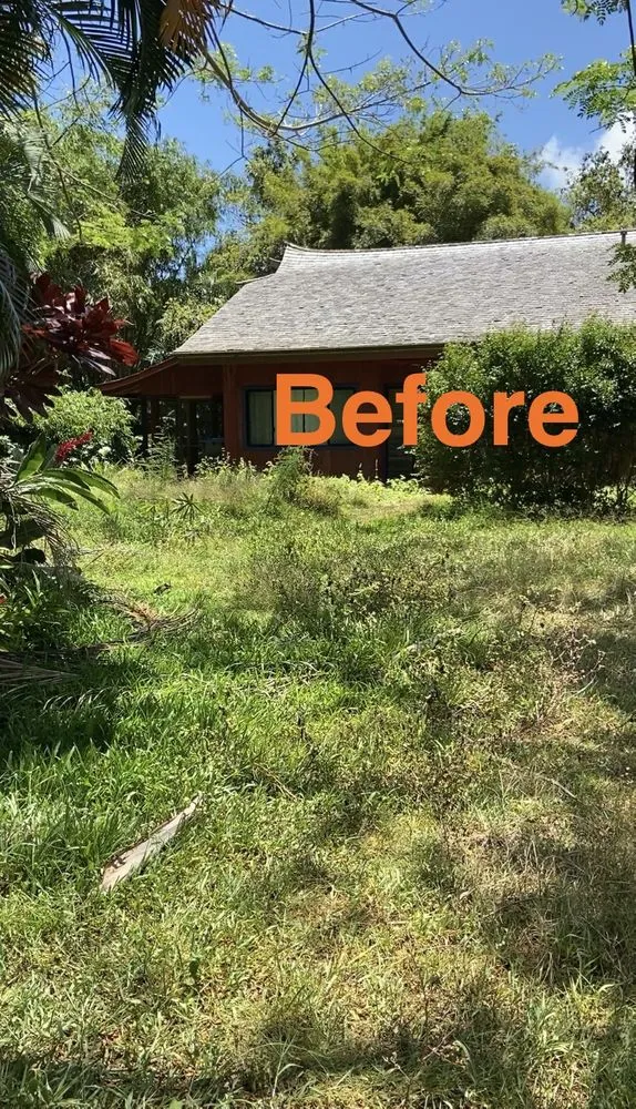 Local outdoor landscaping in Kapaa, HI by Mauka 2 Makai Landscaping & Consulting