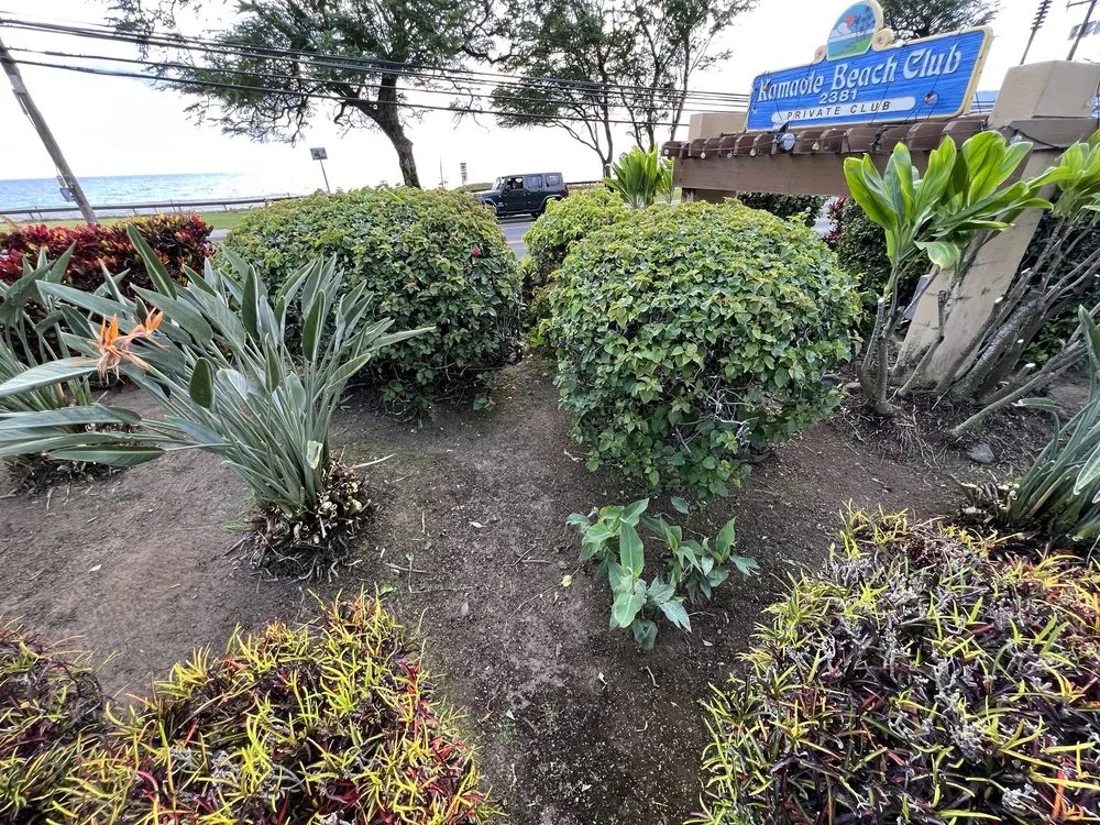Expert garden landscaping in Wailuku, HI by Mauka to Makai Maui Landscaping