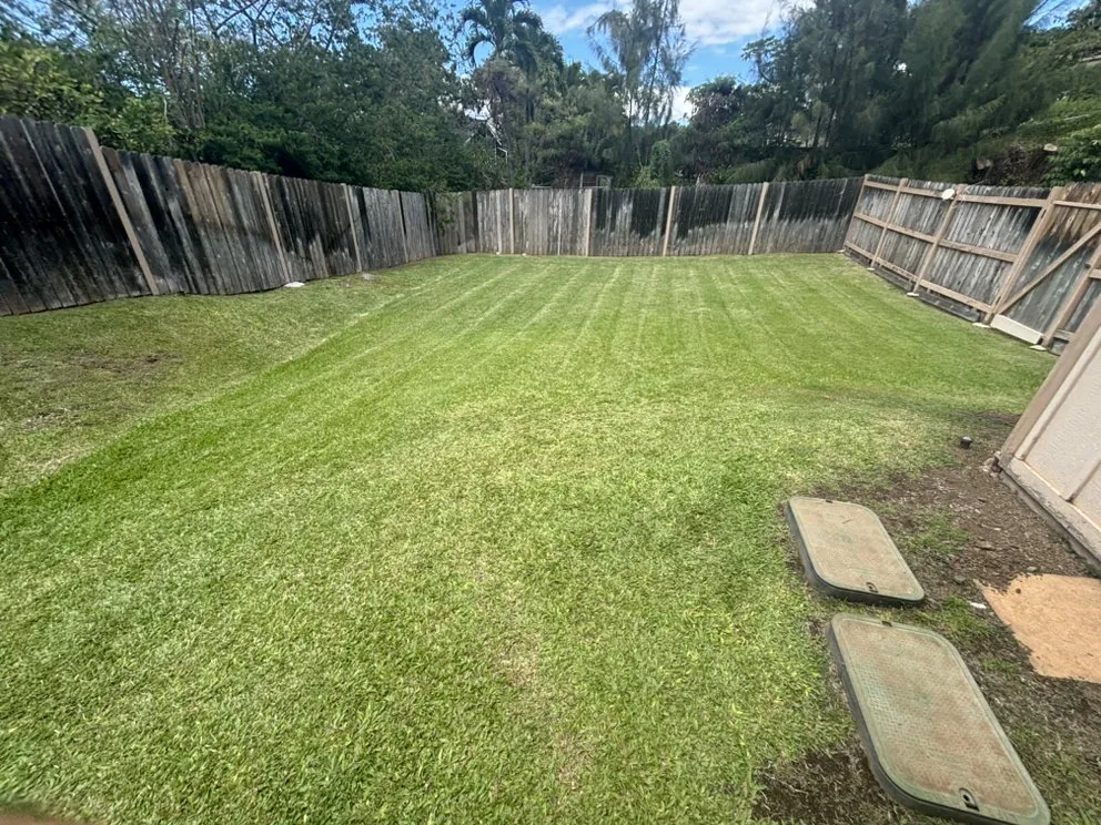 Expert lawn mowing service in Wailuku, HI - Mauka to Makai Maui Landscaping