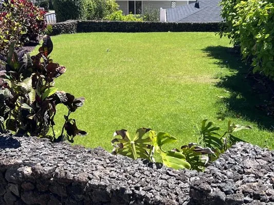 Mauka to Makai Maui Landscaping Logo