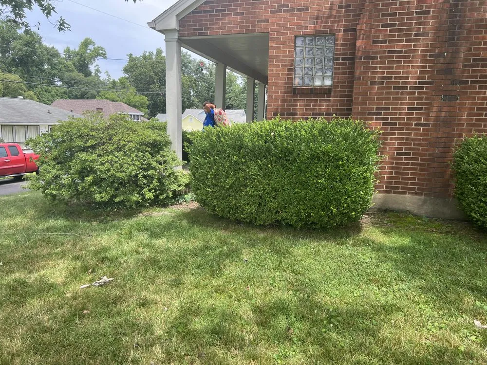 Top-rated yard cleanup service in Ashland, KY - Mauks Maintenance And Lawn Care