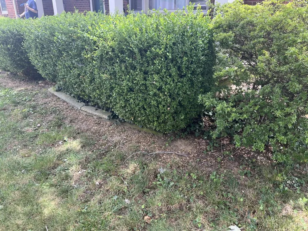 Custom yard cleanup service for beautiful yards in Ashland, KY by Mauks Maintenance And Lawn Care