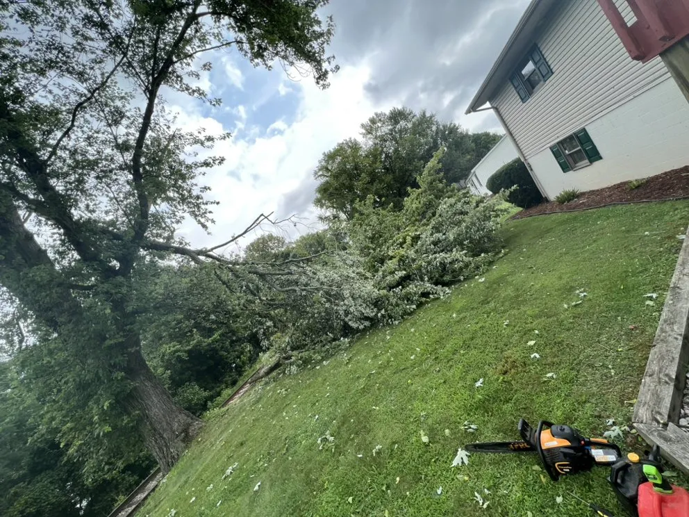 Affordable landscaping services for homes across Ashland, KY - Mauks Maintenance And Lawn Care