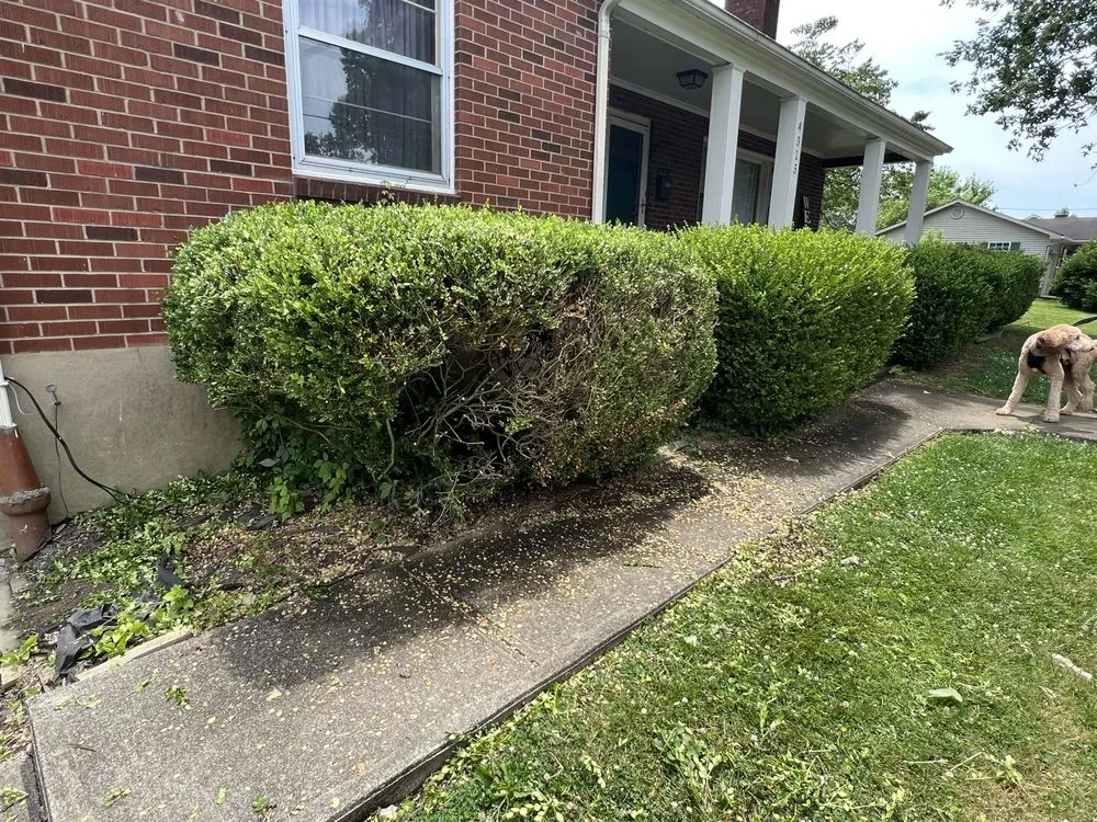 Local landscape installation in Ashland, KY - Mauks Maintenance And Lawn Care