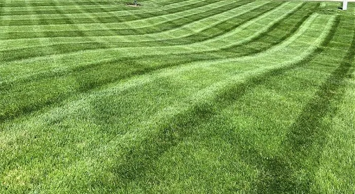 Expert lawn mowing service for beautiful yards across Trafalgar, IN - Maulden's Lawn Care
