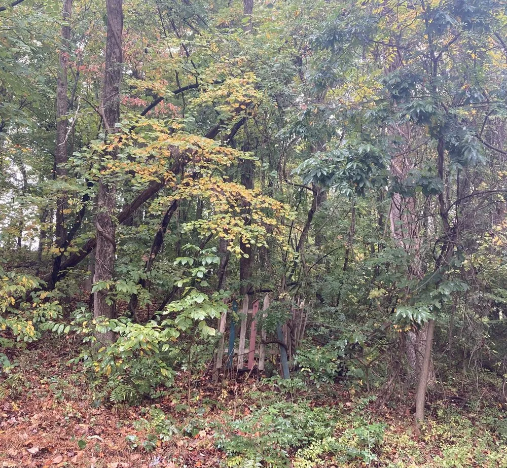 Custom outdoor landscaping experts serving Trafalgar, IN - Maulden's Lawn Care