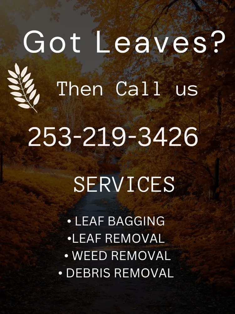 Trusted landscaping services near you across Spanaway, WA - Maulolo Lawn Care Services