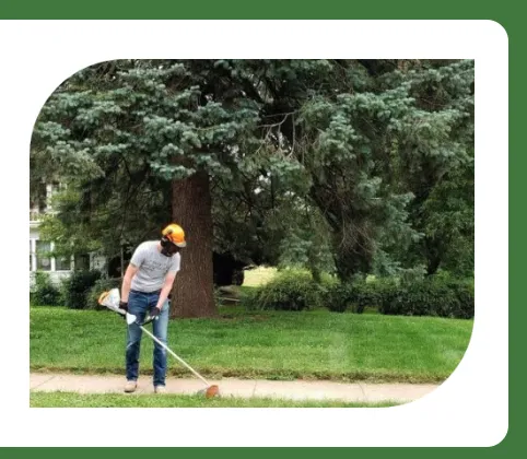 Affordable yard cleanup service experts serving Spanaway, WA - Maulolo Lawn Care Services