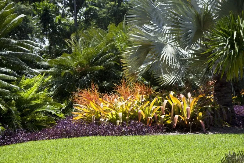 Expert residential landscaping for residential properties across Kailua-Kona, HI - Mauna Loa Landscaping