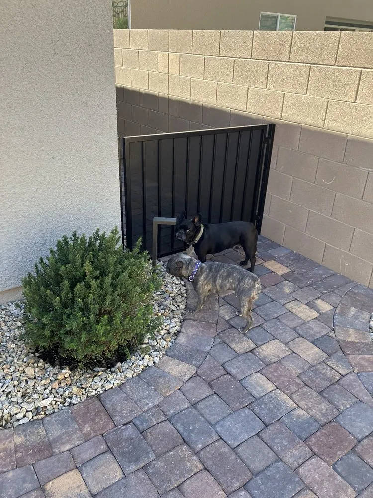 Reliable yard maintenance in Las Vegas, NV - Mauri Landscapes