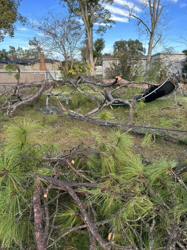 Affordable outdoor landscaping in Jacksonville, FL - Maurice’s Tree And Lawn Service