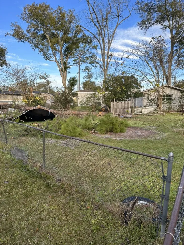 Professional lawn mowing service in Jacksonville, FL by Maurice’s Tree And Lawn Service