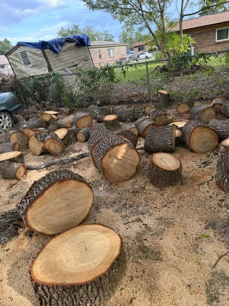 Local garden landscaping experts serving Jacksonville, FL - Maurice’s Tree And Lawn Service