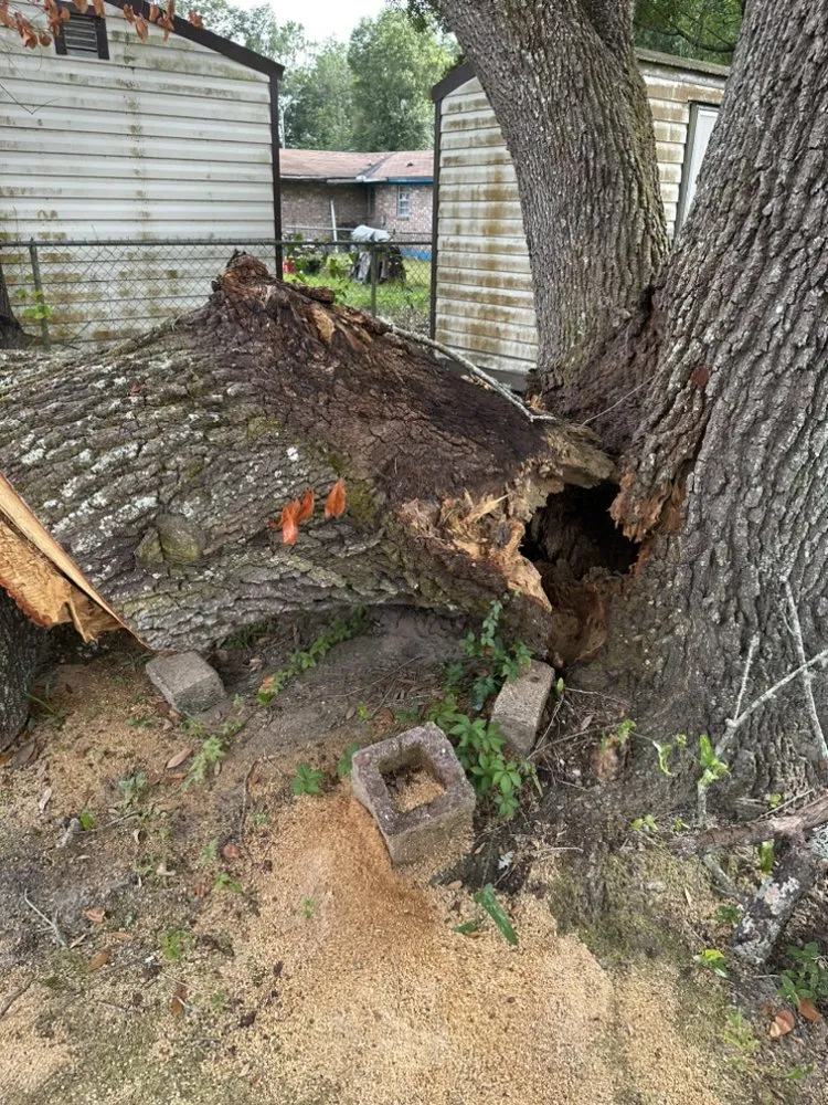 Reliable garden landscaping experts serving Jacksonville, FL - Maurice’s Tree And Lawn Service