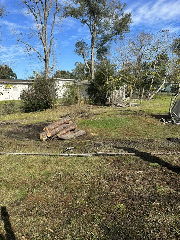 Top-rated garden landscaping experts serving Jacksonville, FL - Maurice’s Tree And Lawn Service