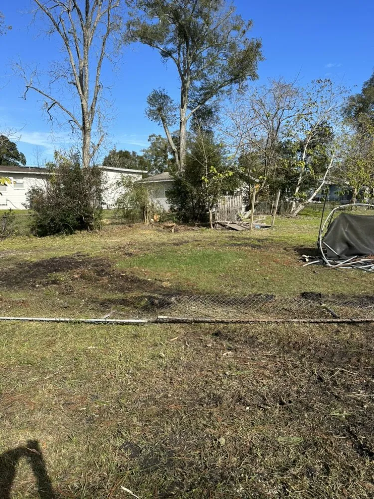 Affordable lawn care service for year-round maintenance in Jacksonville, FL by Maurice’s Tree And Lawn Service