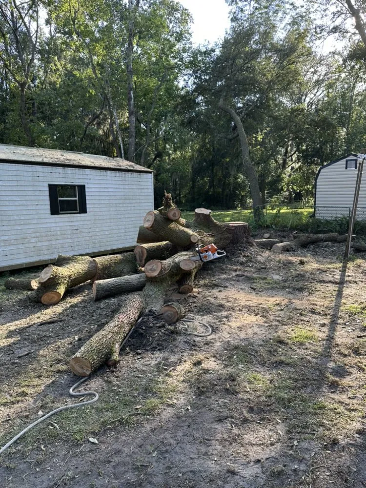 Custom garden landscaping experts serving Jacksonville, FL - Maurice’s Tree And Lawn Service