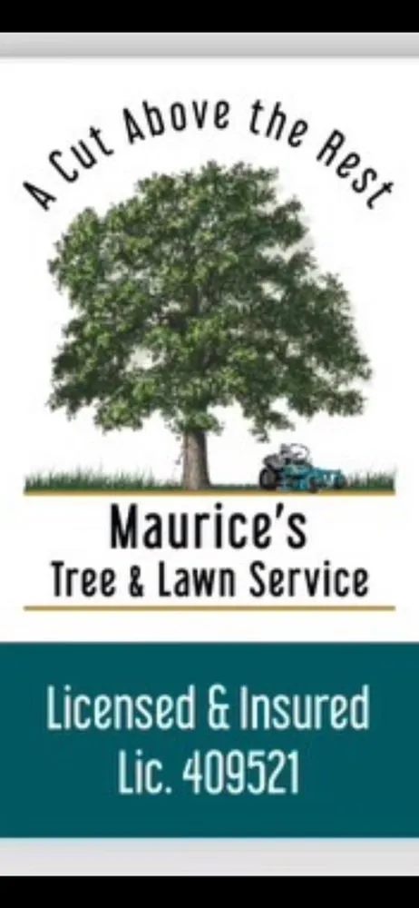 Reliable landscape installation experts serving Jacksonville, FL - Maurice’s Tree And Lawn Service