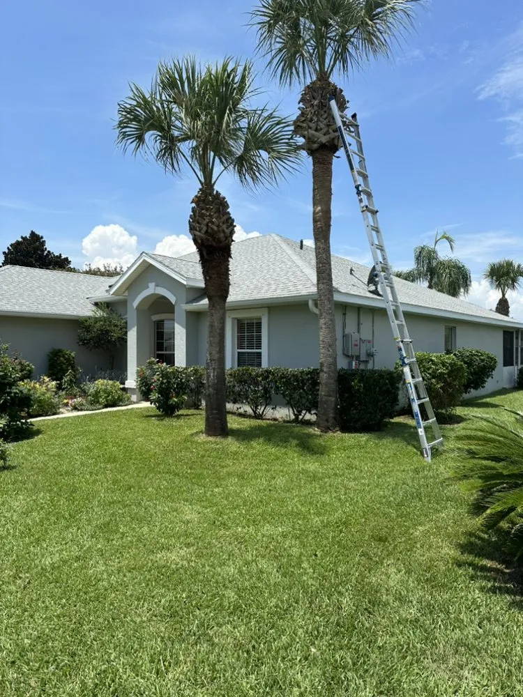 Trusted residential landscaping near you across Jacksonville, FL - Maurice’s Tree And Lawn Service
