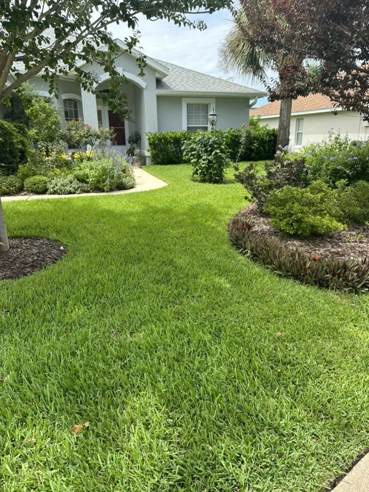 Expert lawn mowing service near you across Jacksonville, FL - Maurice’s Tree And Lawn Service