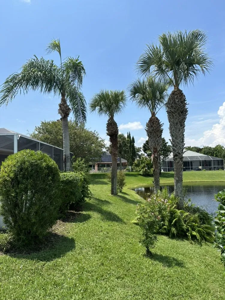 Expert garden landscaping in Jacksonville, FL by Maurice’s Tree And Lawn Service