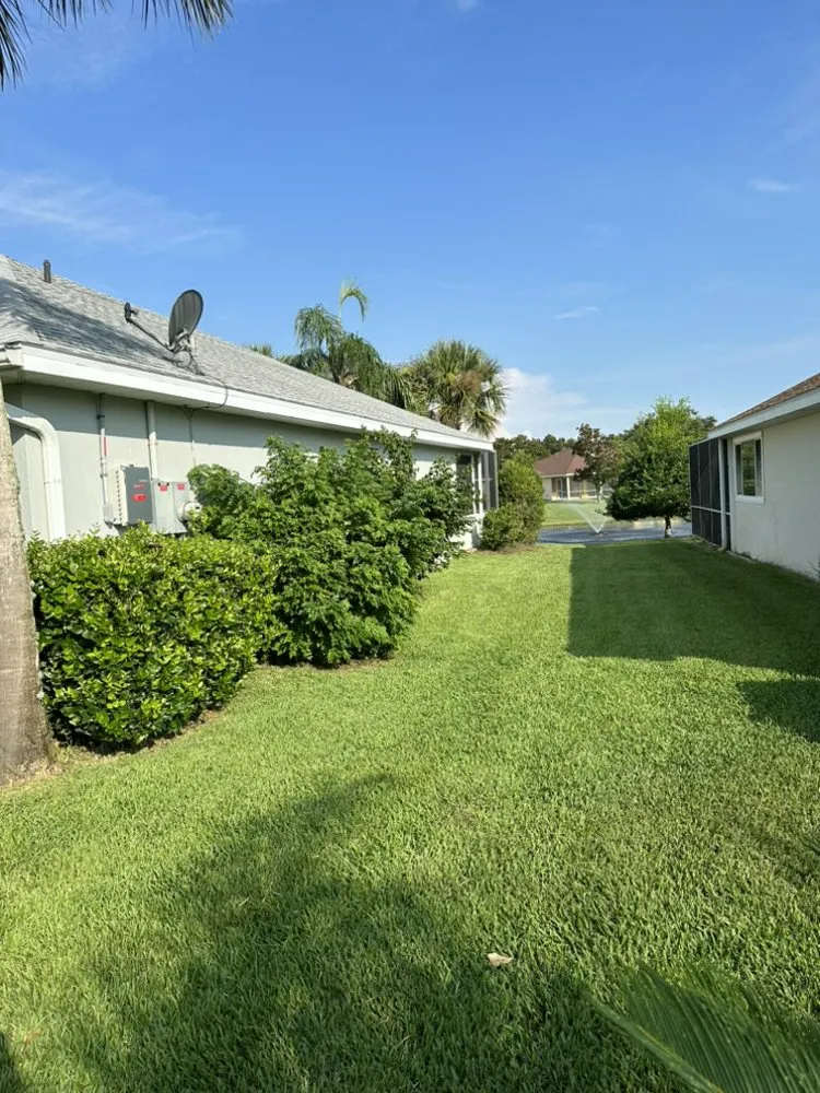 Expert lawn mowing service for beautiful yards across Jacksonville, FL - Maurice’s Tree And Lawn Service