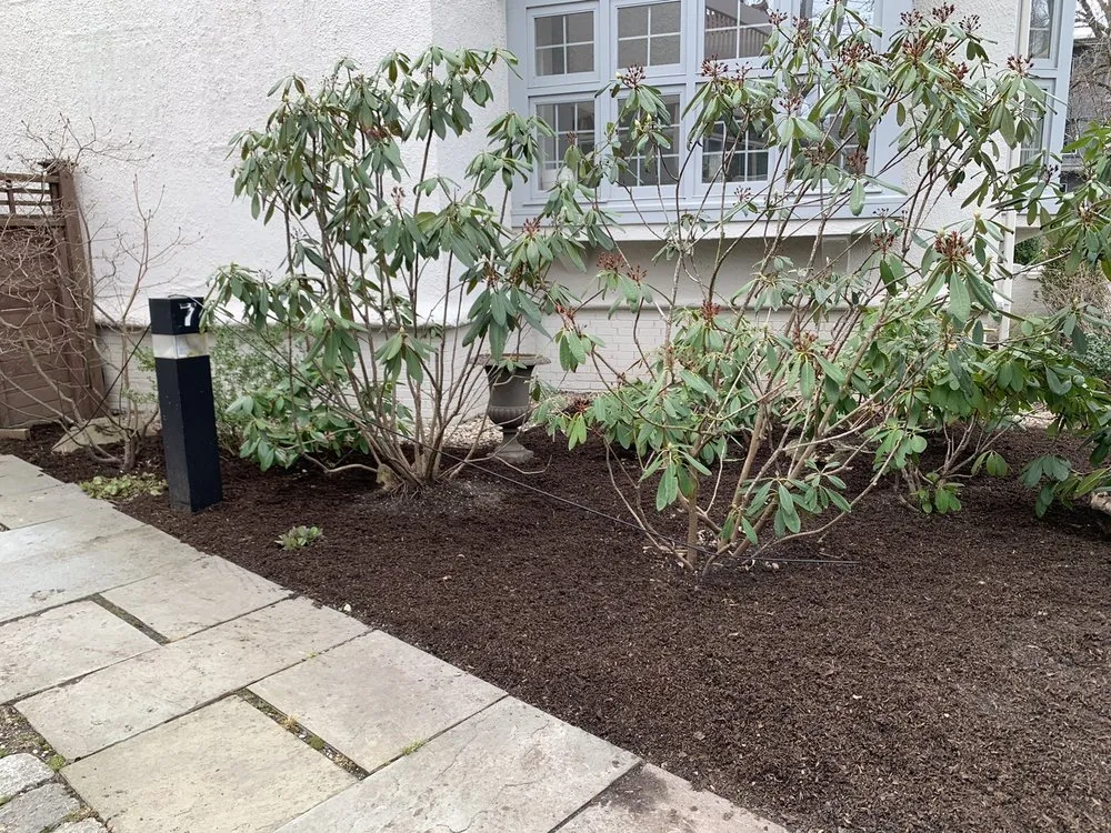 Affordable yard cleanup service experts serving Chelmsford, MA - Mauricio & C Services