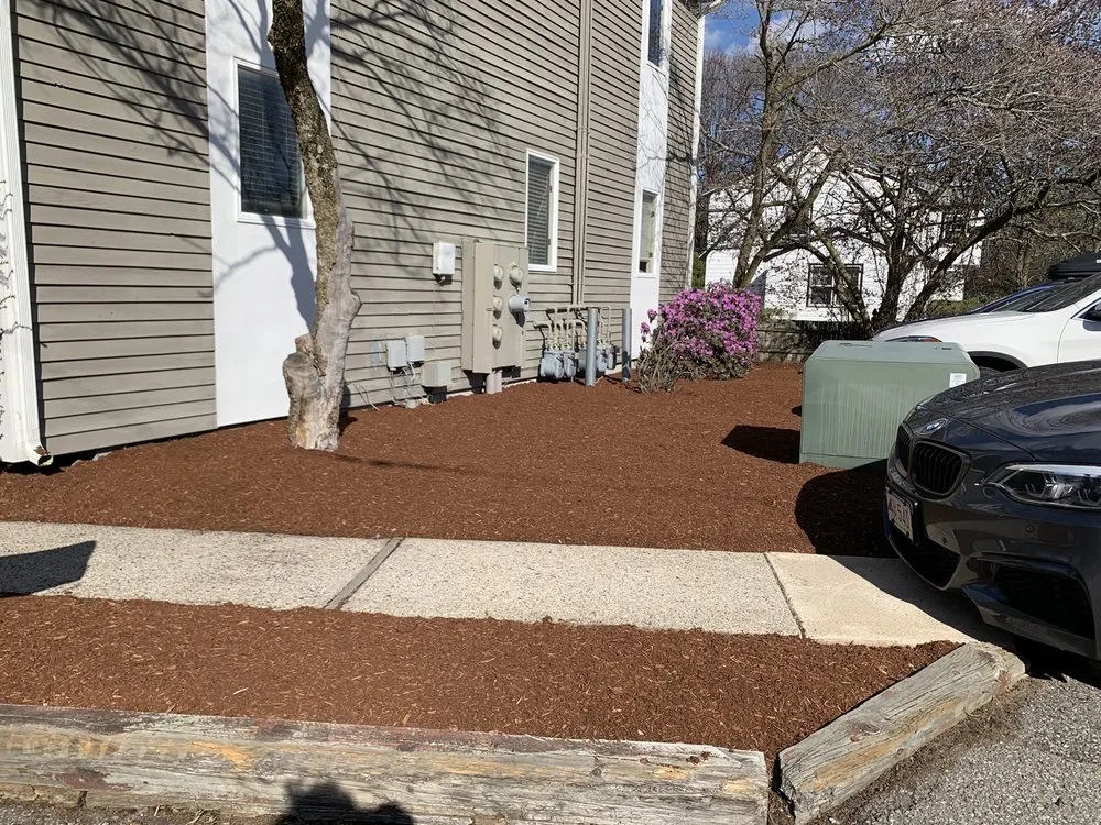 Top-rated yard cleanup service in Chelmsford, MA by Mauricio & C Services