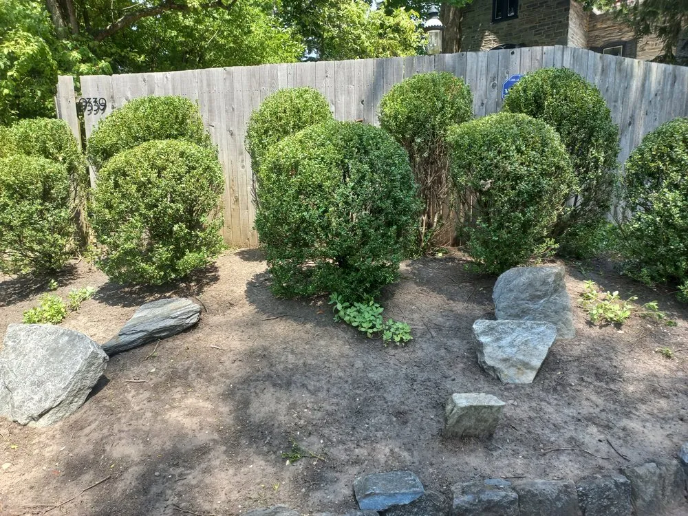 Custom lawn mowing service in Ambler, PA - Mauricio Barrera