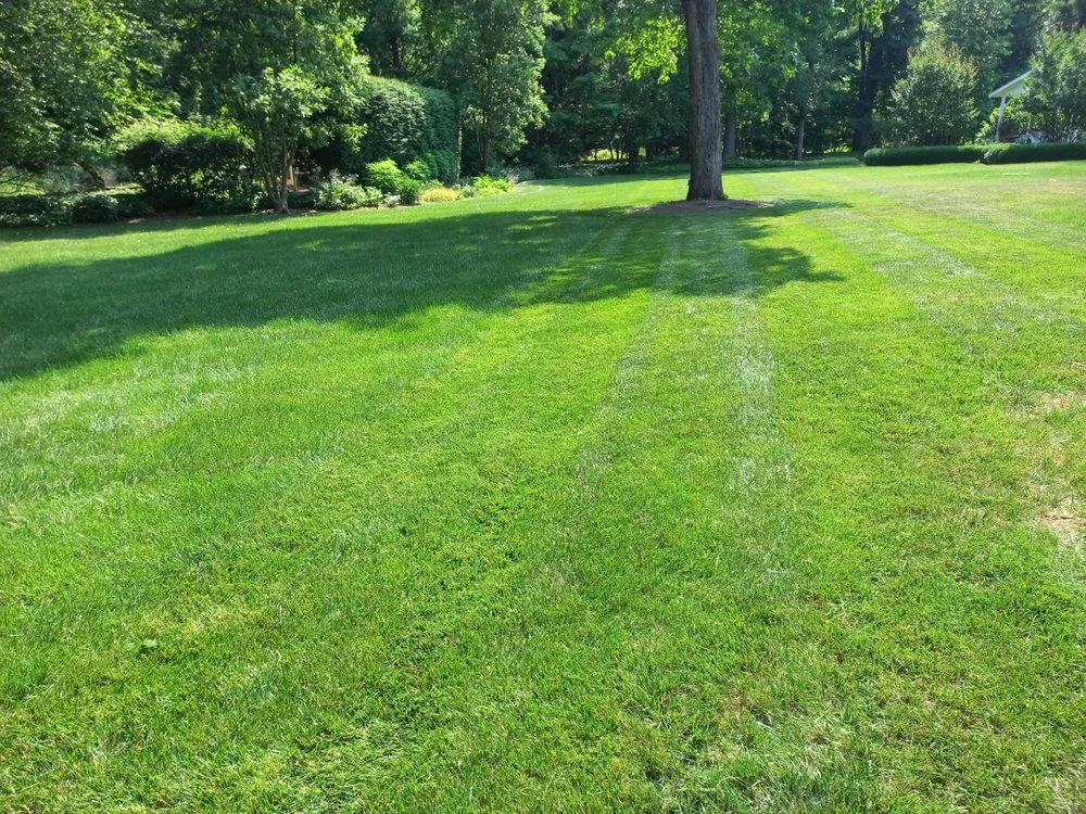 Trusted garden landscaping for outdoor upgrades in Ambler, PA by Mauricio Barrera