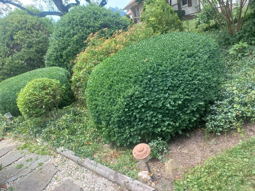 Expert garden landscaping in Ambler, PA - Mauricio Barrera