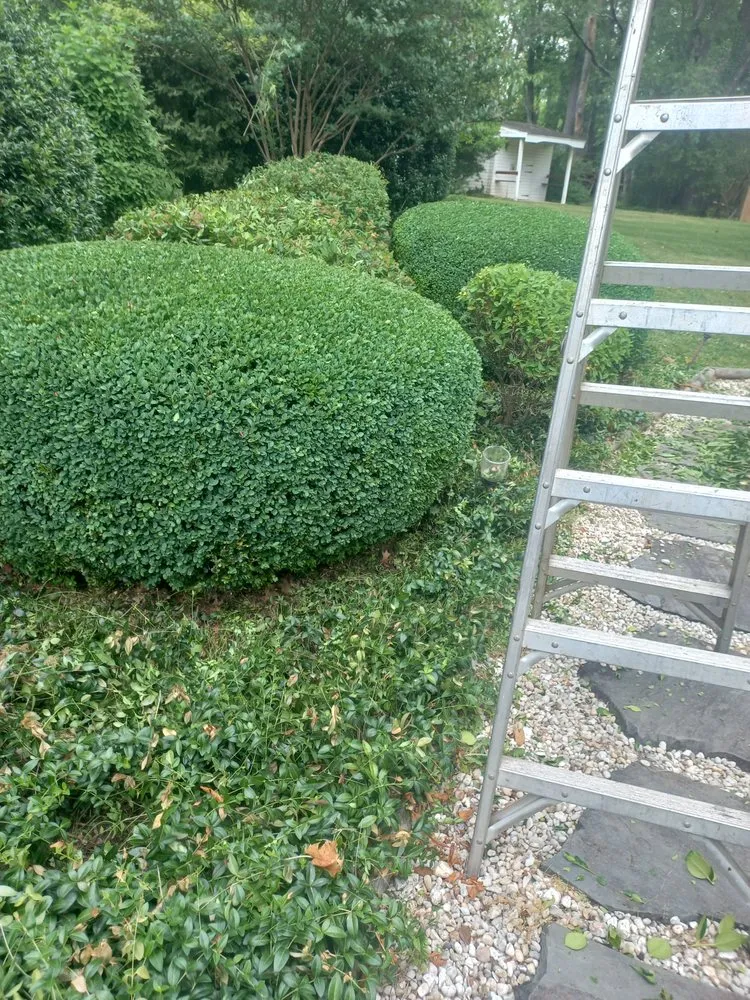 Custom outdoor landscaping in Ambler, PA by Mauricio Barrera