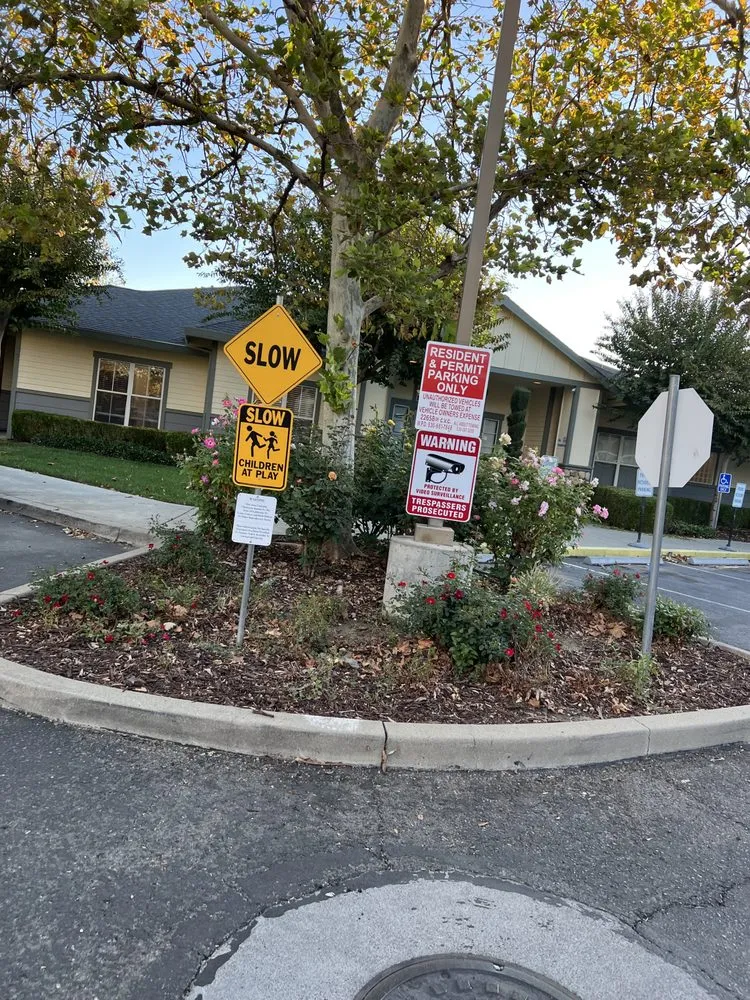 Reliable lawn mowing service with custom design in Sacramento, CA by Mauricio Lawn Service