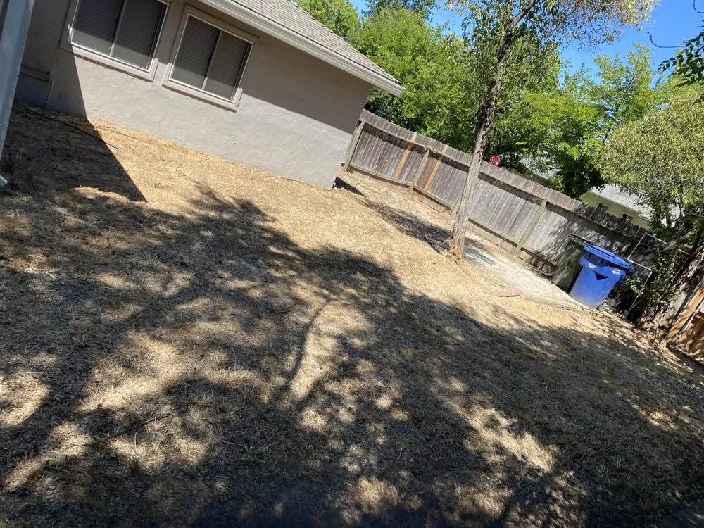 Reliable yard maintenance with custom design in Sacramento, CA by Mauricio Lawn Service