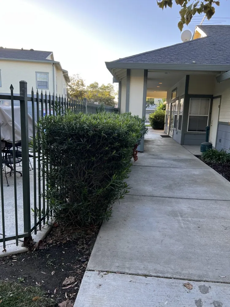 Custom lawn mowing service with custom design across Sacramento, CA - Mauricio Lawn Service