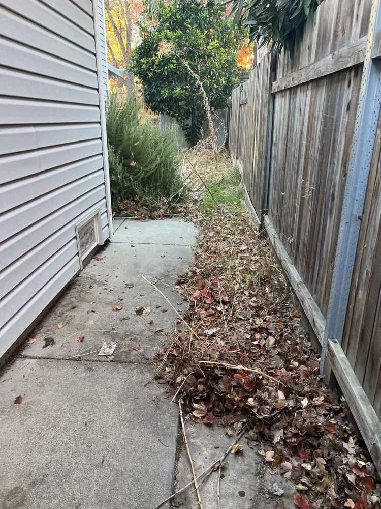 Professional landscape design experts serving Sacramento, CA - Mauricio Lawn Service