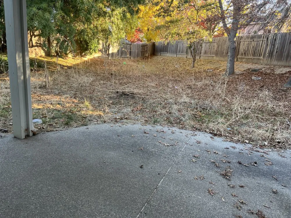 Expert residential landscaping in Sacramento, CA by Mauricio Lawn Service