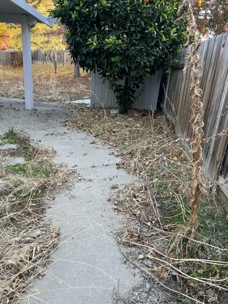 Affordable landscape installation for homes across Sacramento, CA - Mauricio Lawn Service