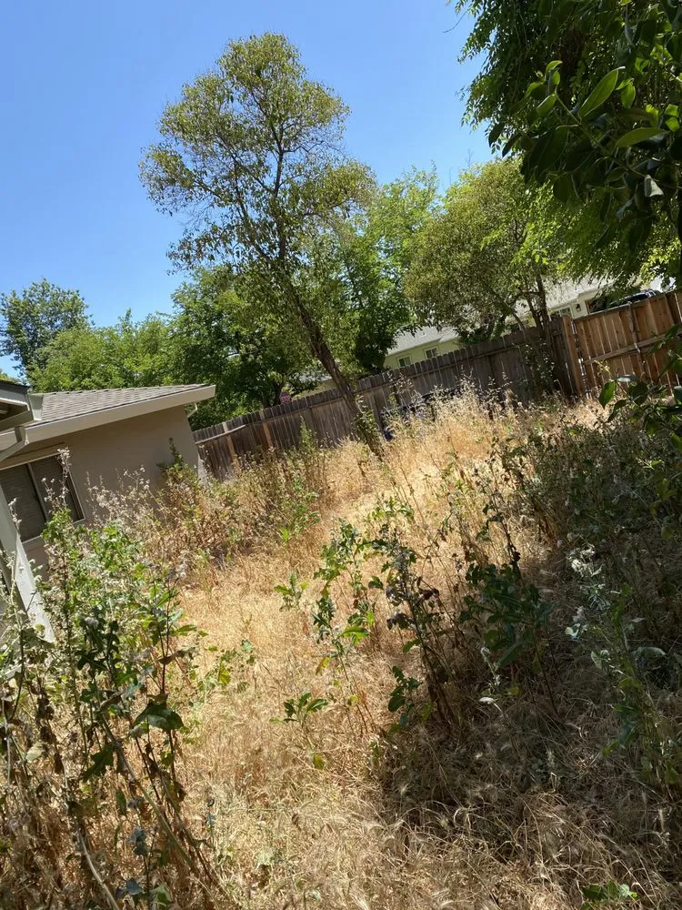 Custom landscaping services in Sacramento, CA - Mauricio Lawn Service